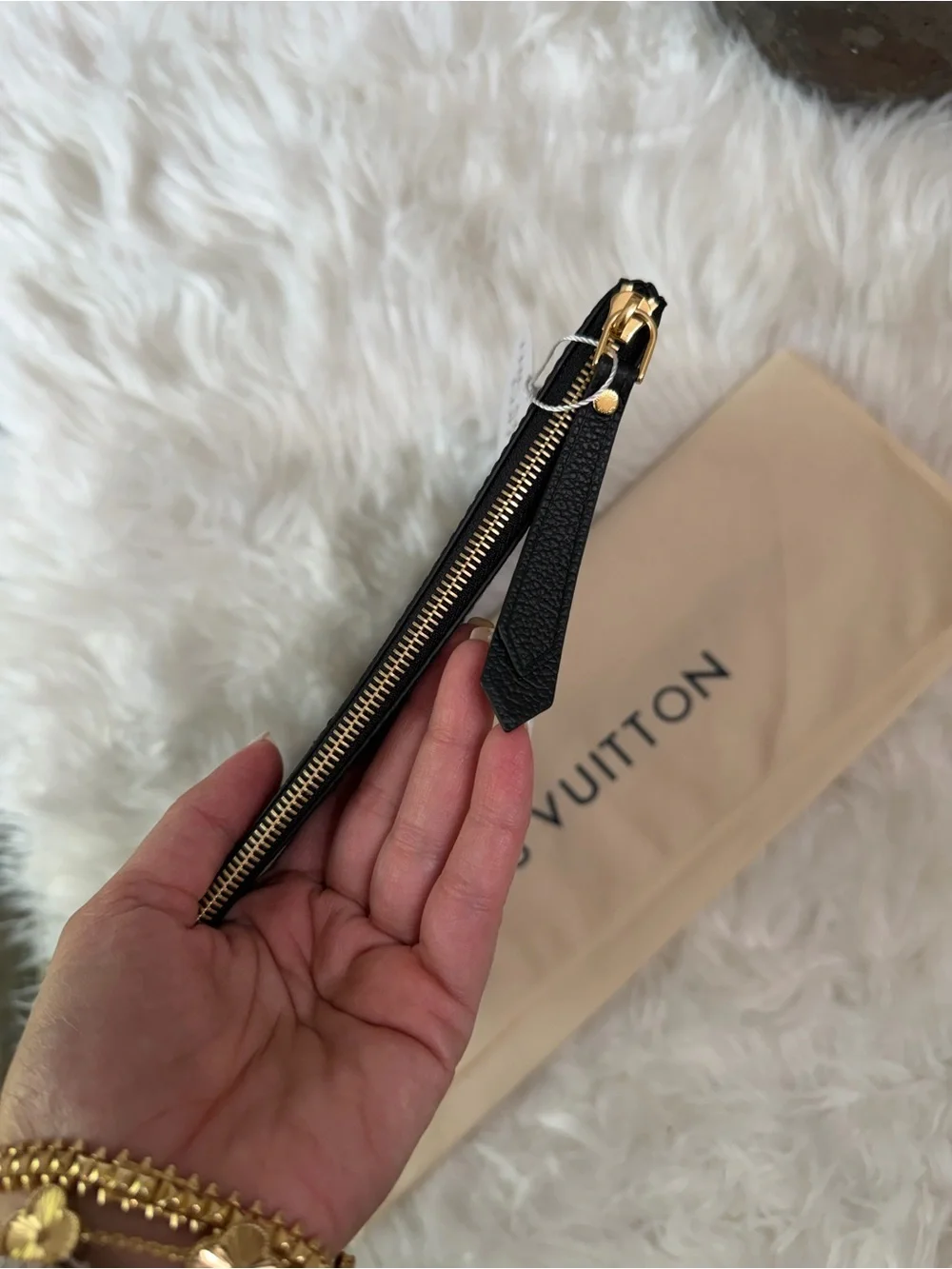 Louis Vuitton Monogram Zip Daily Pouch in Black Trim